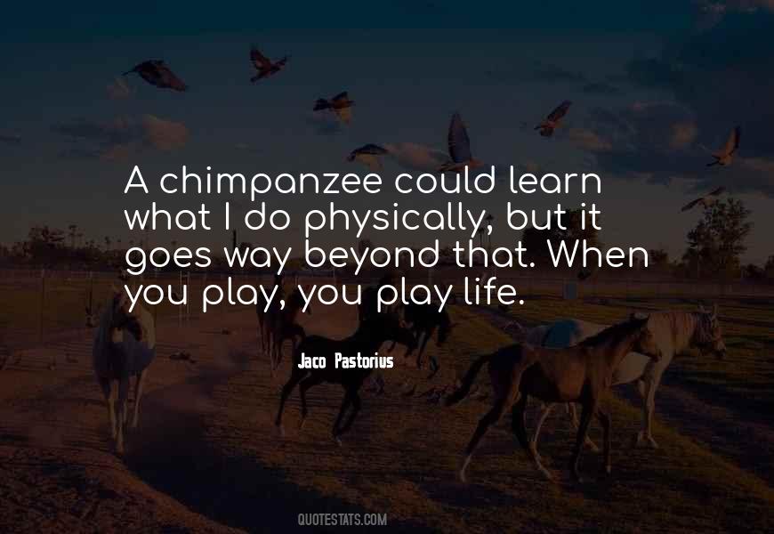 Chimpanzee Quotes #1797578