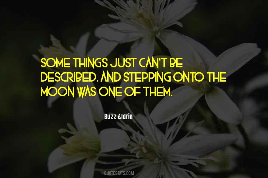 Pilarte Cargo Quotes #64328