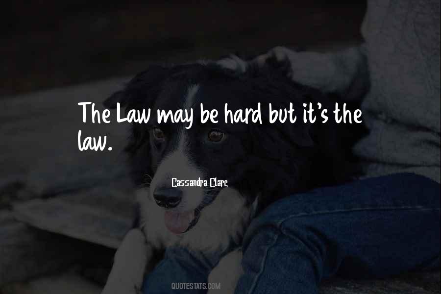Ariadne Diaz Quotes #95632