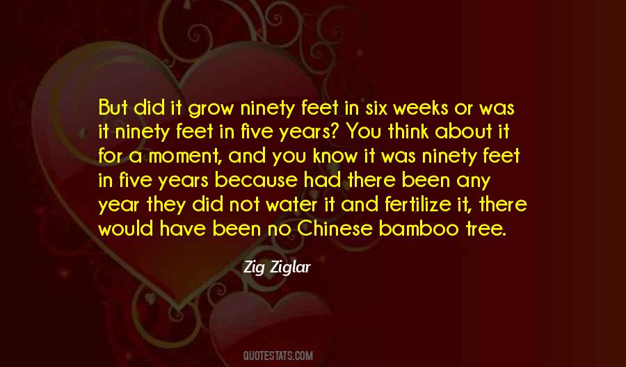 Chinese Bamboo Tree Quotes #141716