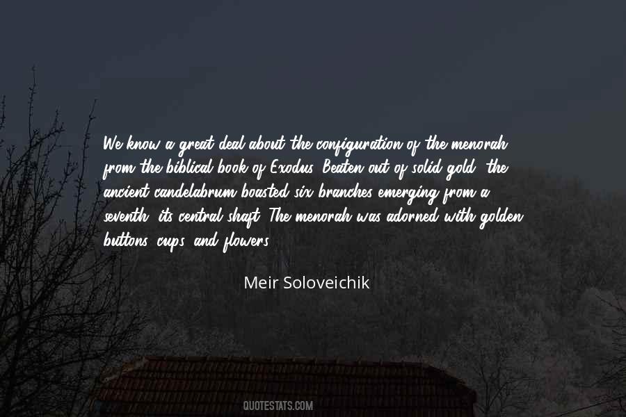 Soloveichik Meir Quotes #107527