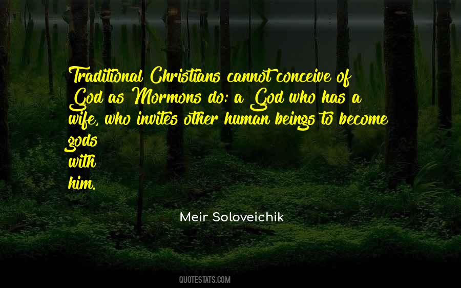 Soloveichik Meir Quotes #711468