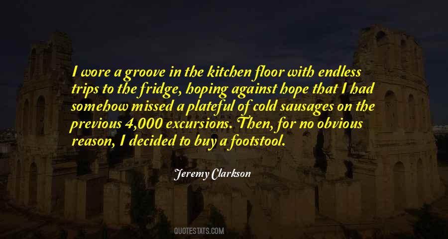Hoping Against Hope Quotes #706242