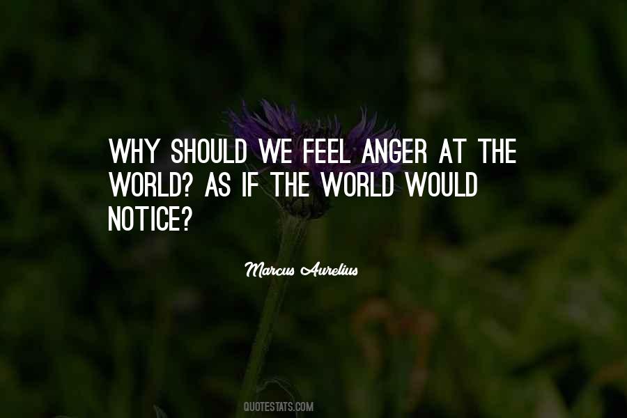 Kadels Quotes #1017552