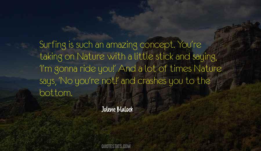 Hussons Pizza Quotes #1693557