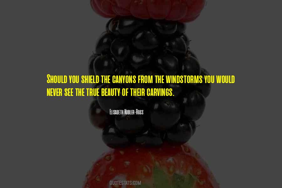 Hatuna Yetis Quotes #249182