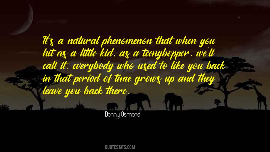 Dorato Stone Quotes #1411868