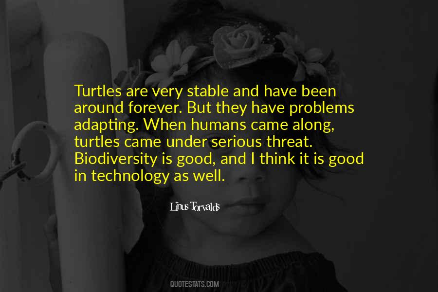Malcolm Tsung Quotes #1472844