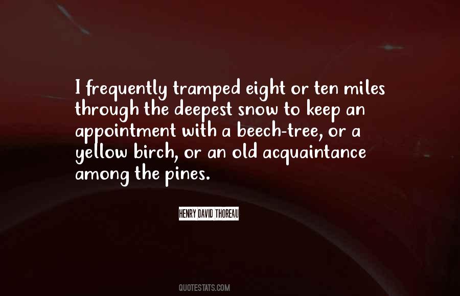 Among The Pines Quotes #412446