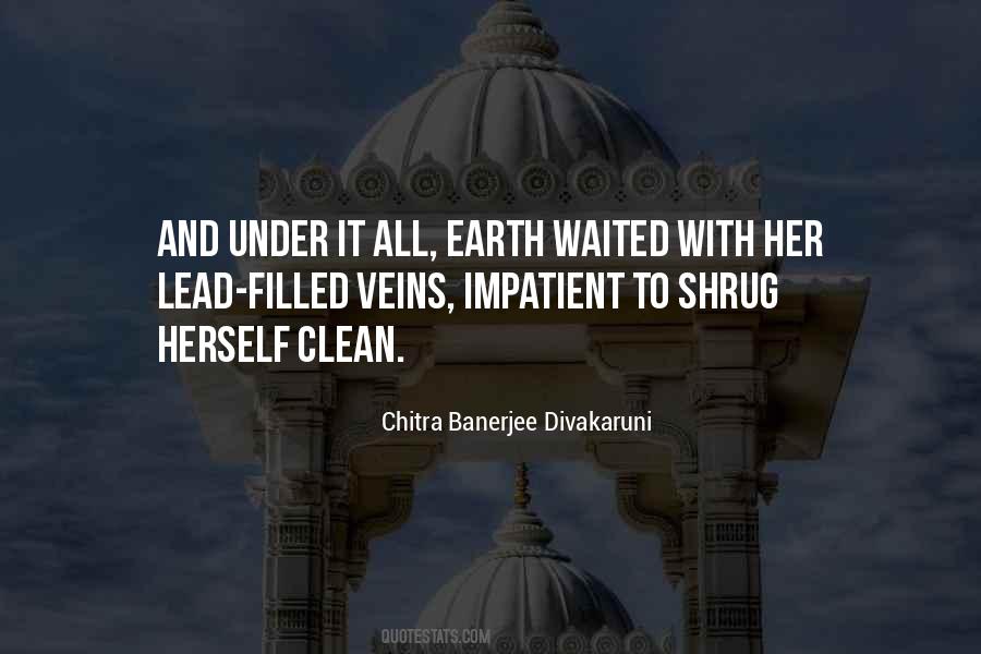 Chitra Banerjee Quotes #1002717