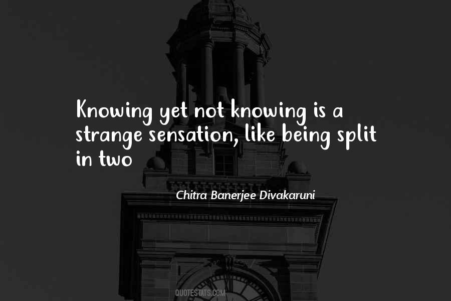 Chitra Banerjee Quotes #337789