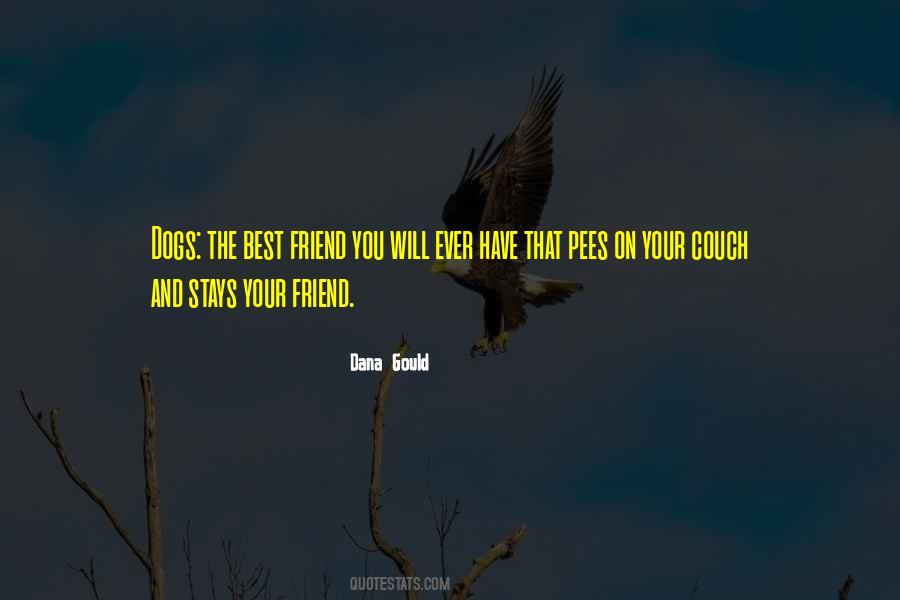 Radatz Contracting Quotes #1787680