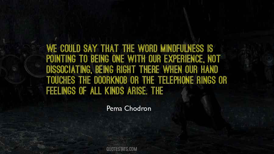 Chodron Quotes #267293