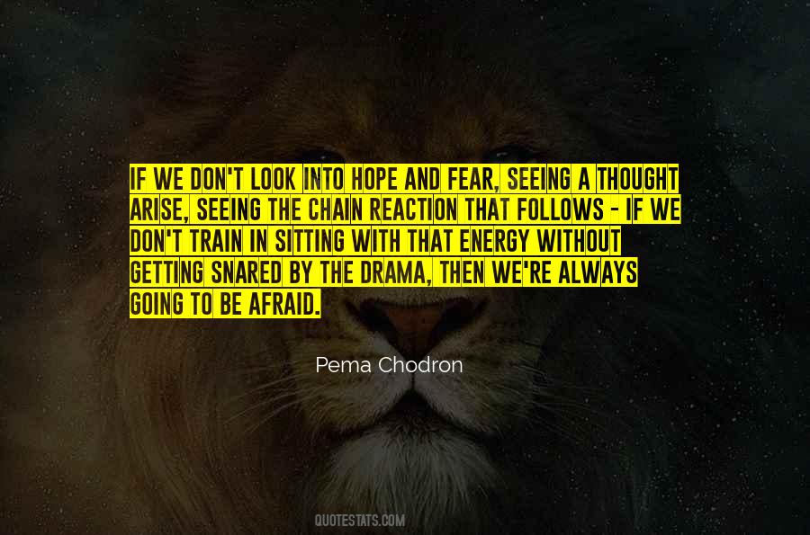 Chodron Quotes #40311