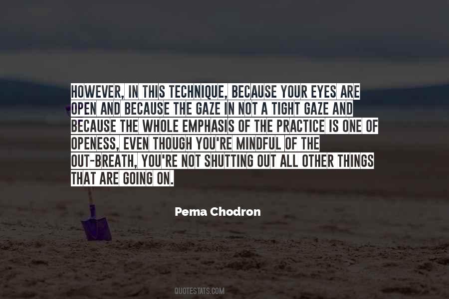 Chodron Quotes #95362