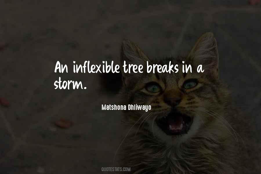 Lamoral Sabine Quotes #64210