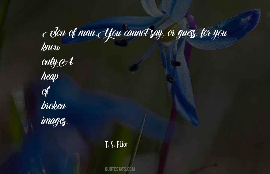 Waste Land Quotes #588081