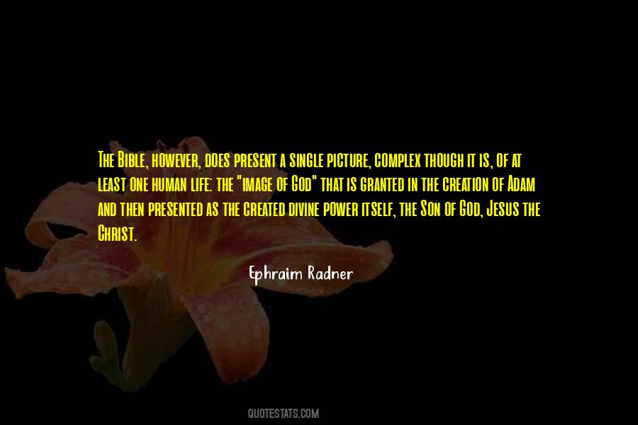 Quotes About Life Bible #37994