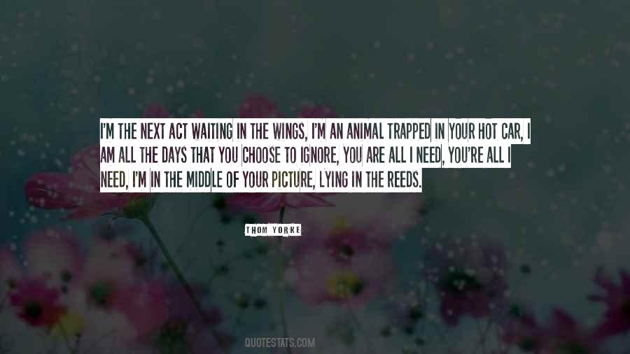Choose To Ignore Quotes #723198