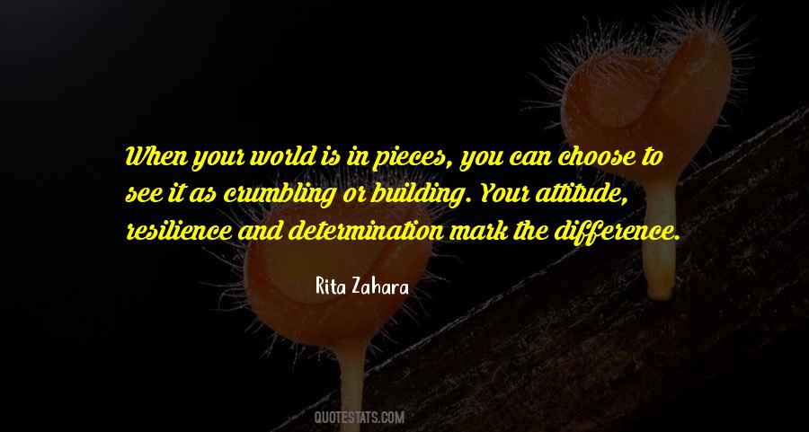 Choose Your Own Attitude Quotes #628967
