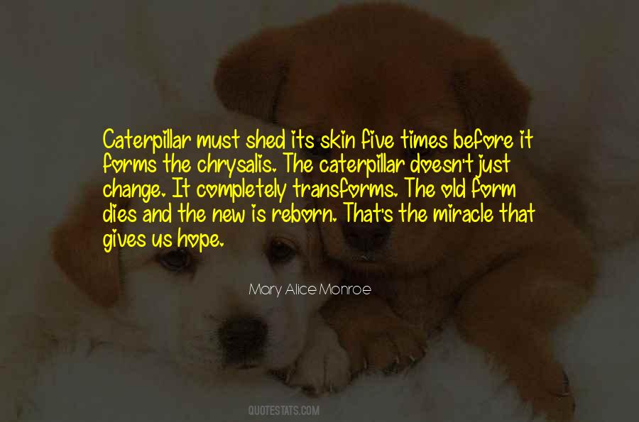 Medavoy Surname Quotes #769224
