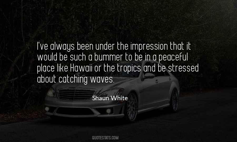 Ruddy Turnstone Quotes #1327805
