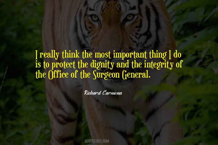 Darkstripe And Tigerstar Quotes #411527