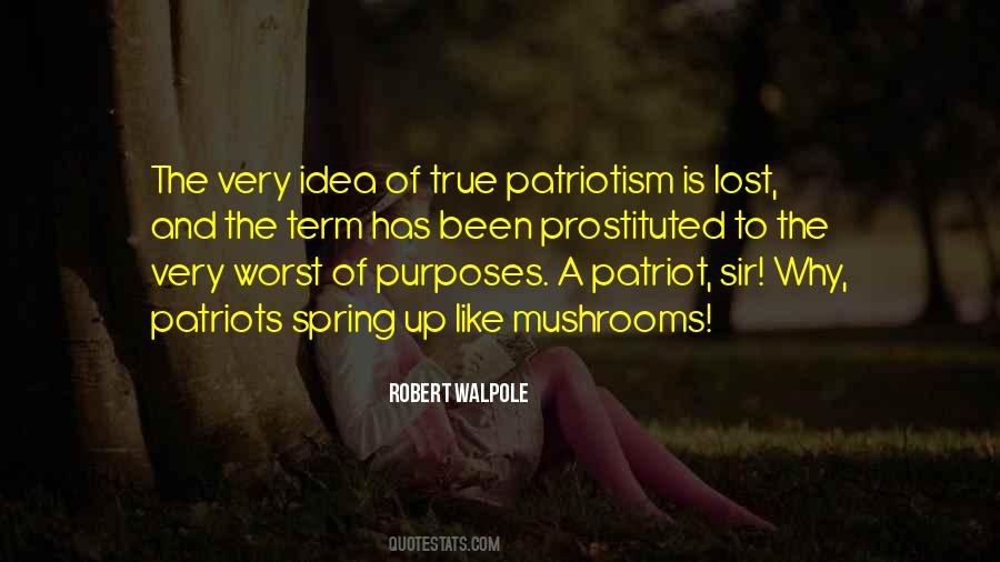 True Patriotism Quotes #1355236