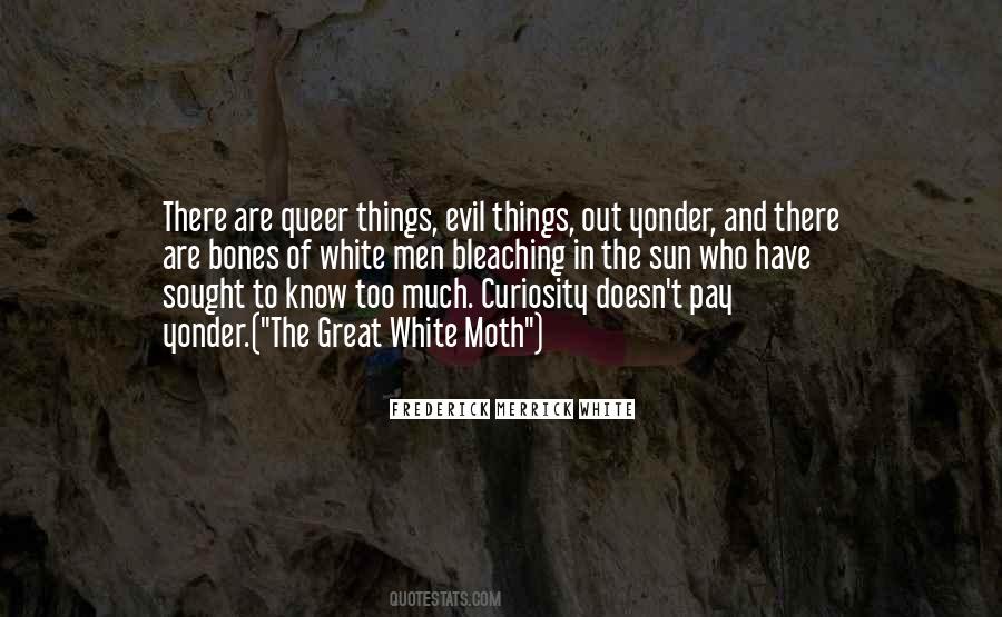 Evil Things Quotes #1505890