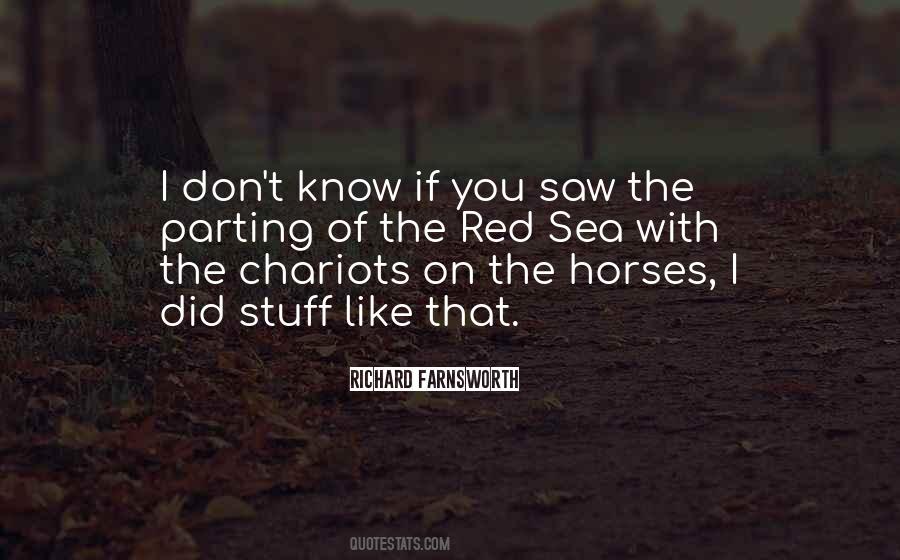 Sea Horses Quotes #348737