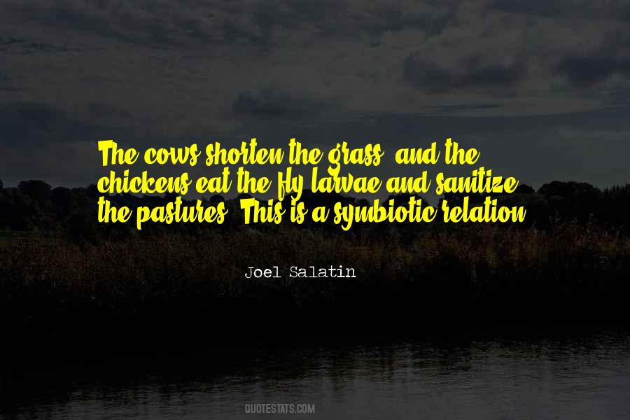 Evasivo Significado Quotes #1265016