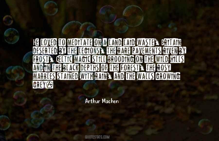 A Land Without Magic Quotes #1009593