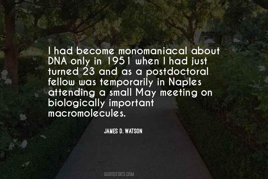 Beiswanger Family Genealogy Quotes #776745