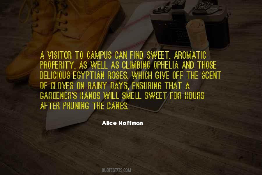 Vit Nyi Mih Ly Quotes #1244015