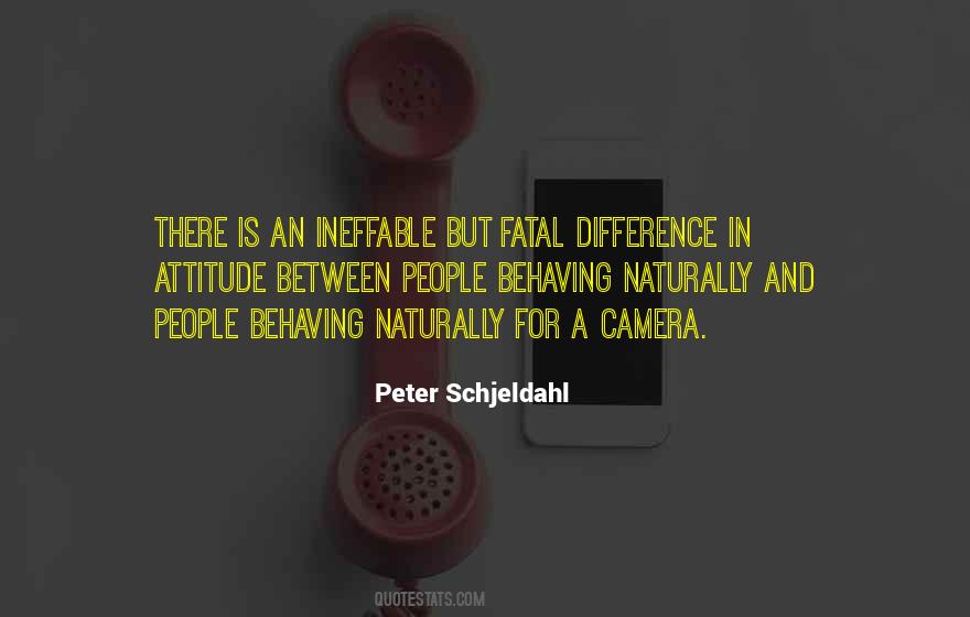 Schjeldahl Quotes #714843