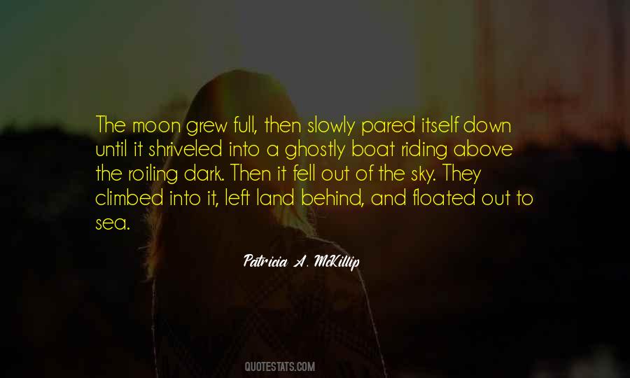 The Sky Down Quotes #266573
