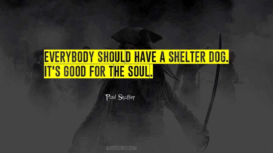 Soul Shelter Quotes #1471121