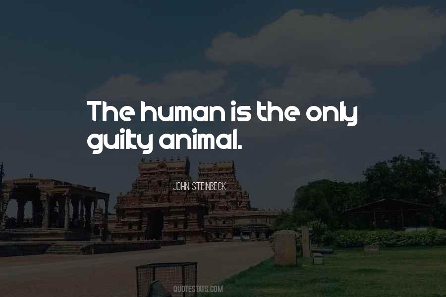 Flingers Lorain Quotes #753738