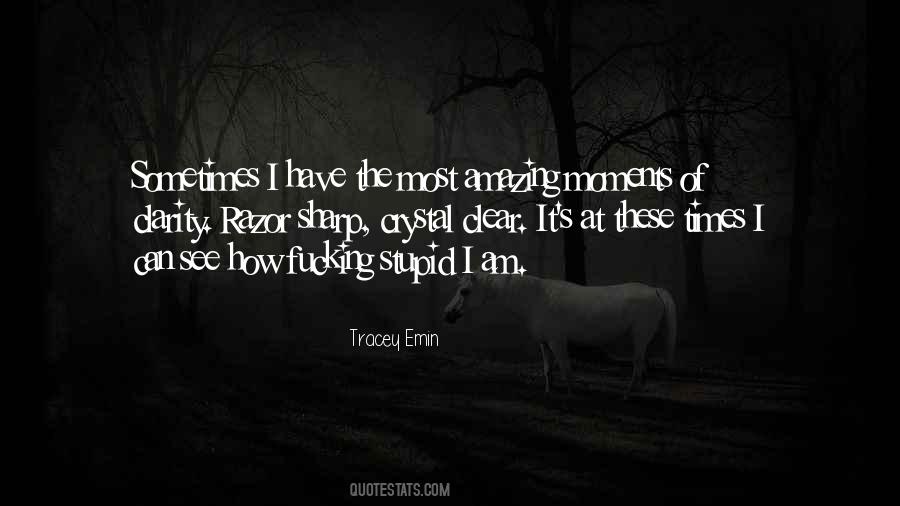 Sometimes Moments Quotes #1000306