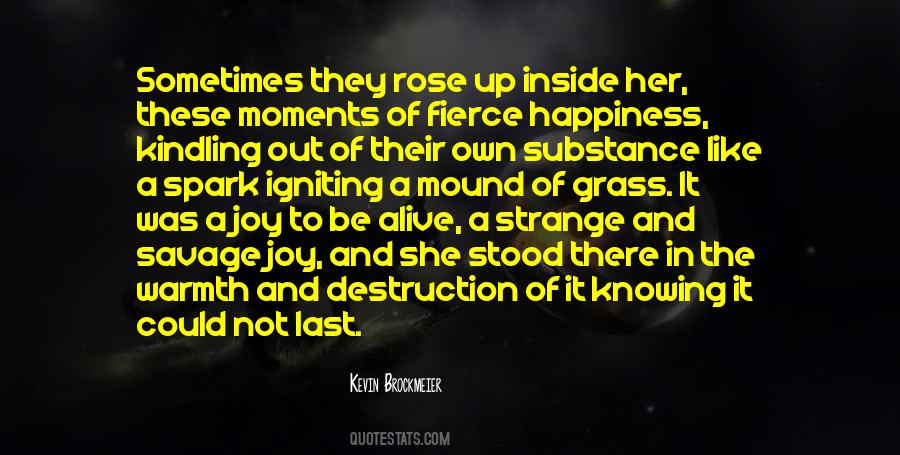 Sometimes Moments Quotes #1046791