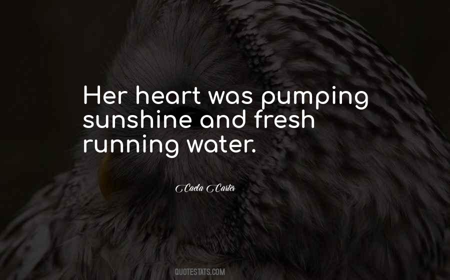 Heart Sunshine Quotes #32955