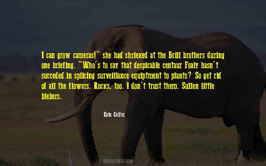 Idiocy In A Sentence Quotes #92834