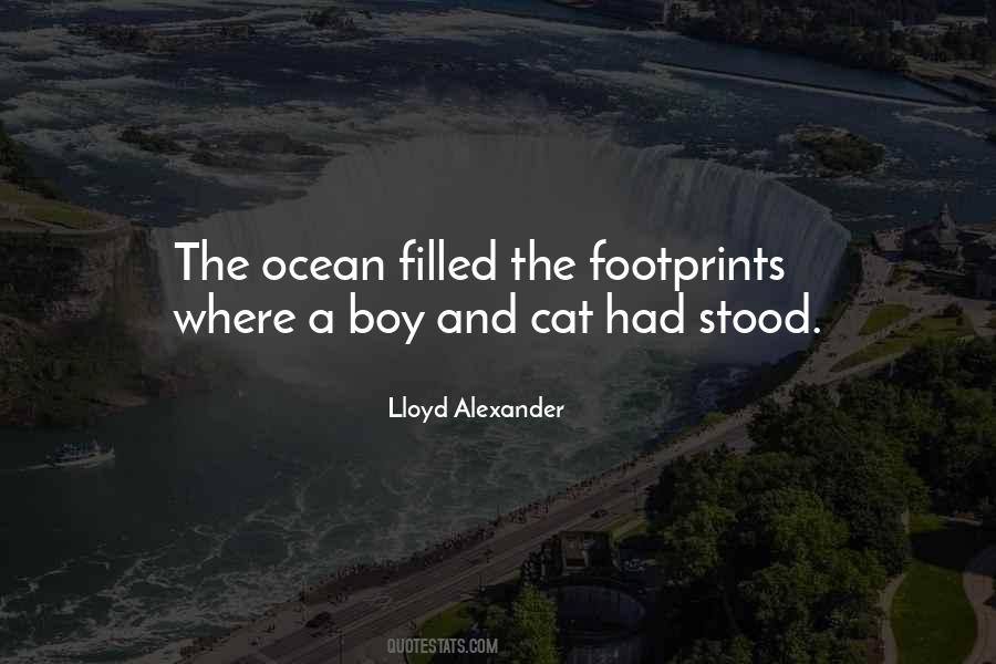 Rotondo Brothers Quotes #452170