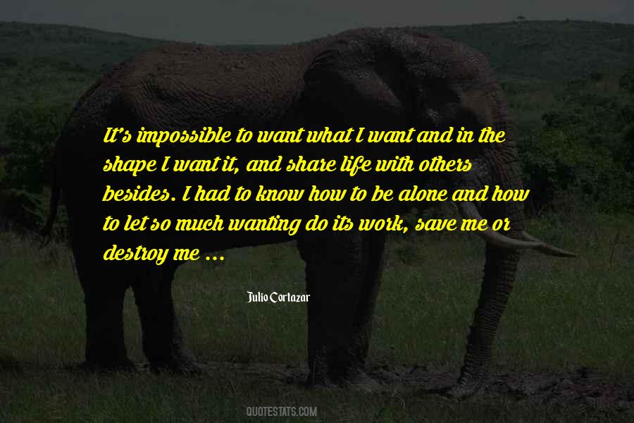 How To Be Alone Quotes #1052040