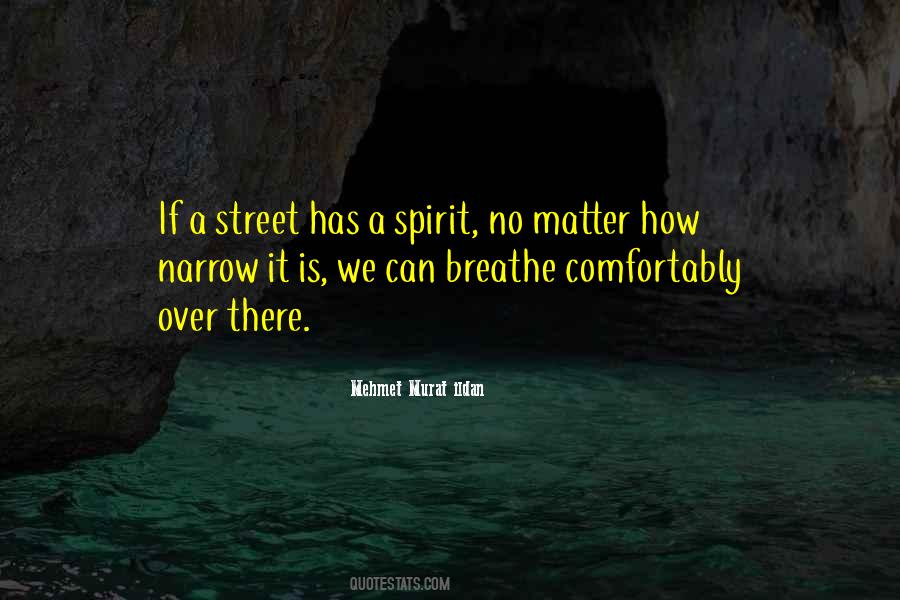 Sputniks Purpose Quotes #1281667