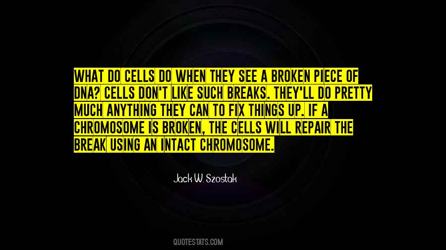 Chromosome Quotes #315261