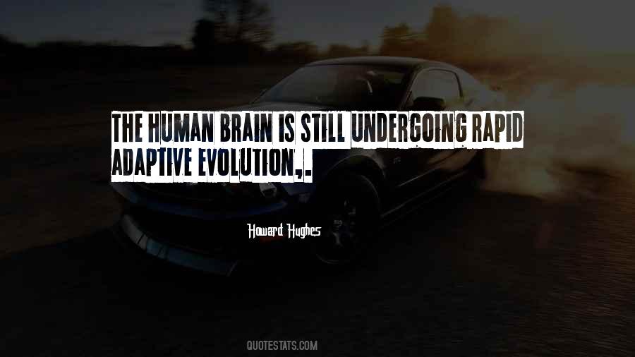 Brain Evolution Quotes #1204197