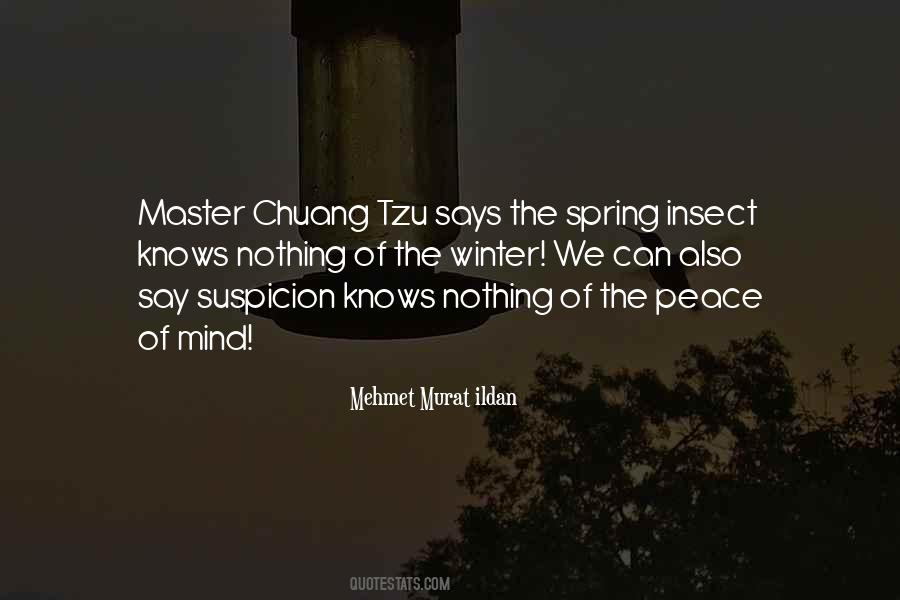 Chuang Tzu Quotes #664525