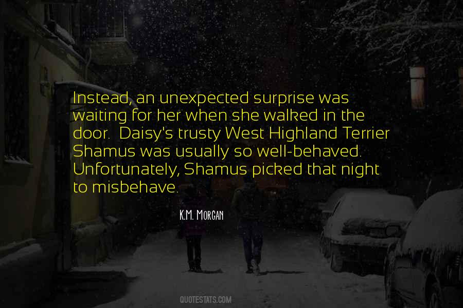 Incomum Turismo Quotes #518972