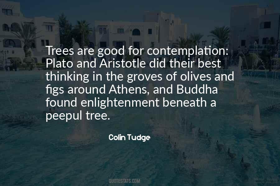 Henties Fruit Quotes #910039